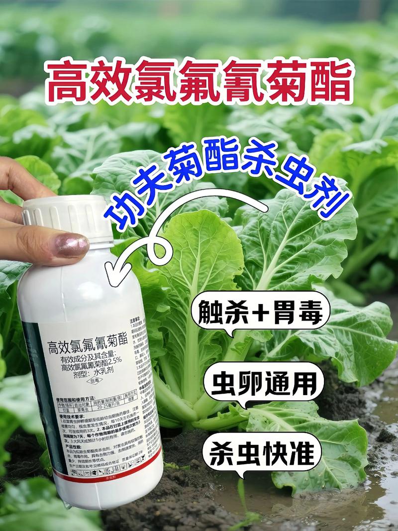 江北代生中心:农药对供卵代生妈妈的危害